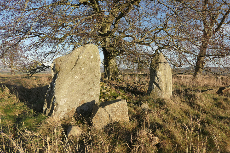 Image of South Fornet (Stone Circle) by thelonious