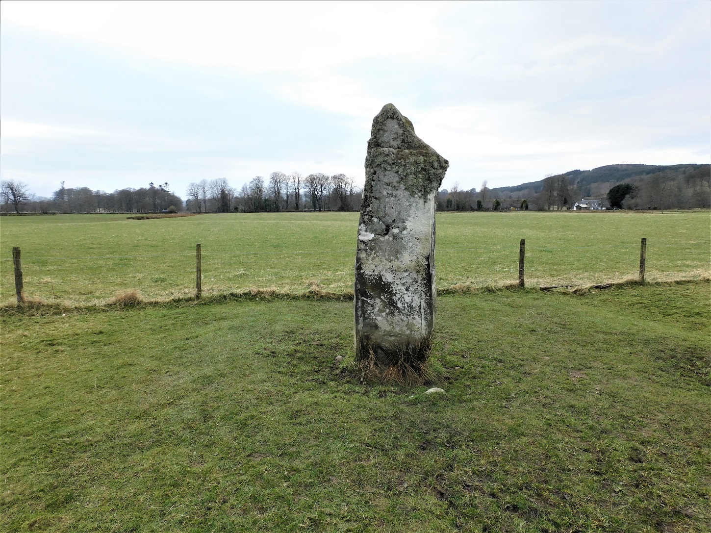 Image of The Great X of Kilmartin (Stone Row / Alignment) by drewbhoy