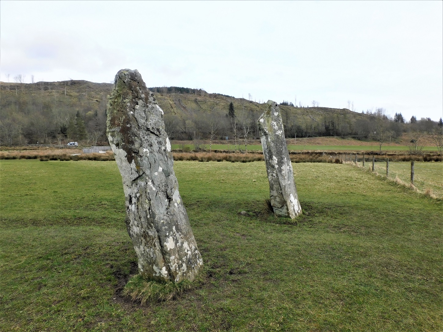 Image of The Great X of Kilmartin (Stone Row / Alignment) by drewbhoy