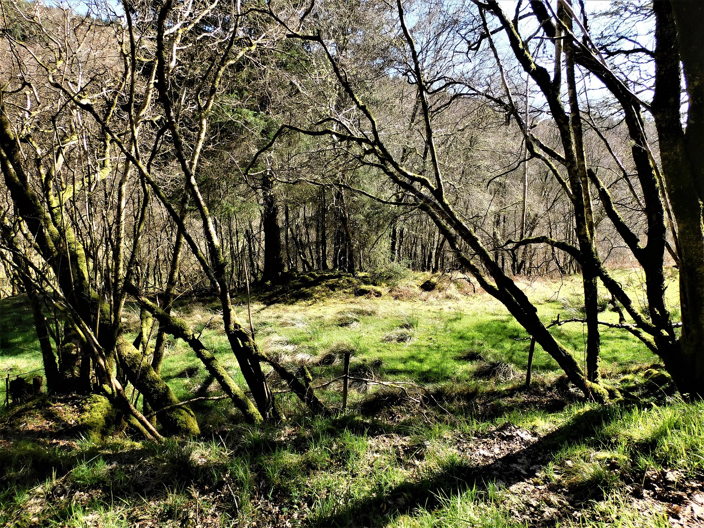Image of Gariob (Cairn(s)) by drewbhoy