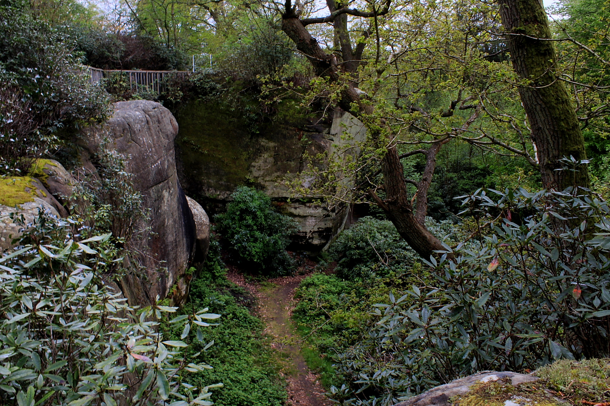 Image of High Rocks (Cave / Rock Shelter) by GLADMAN