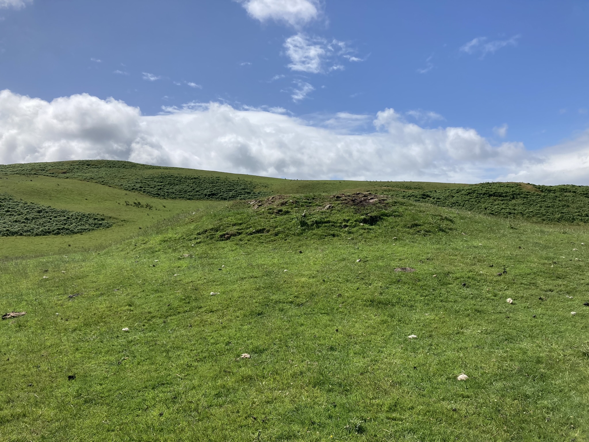 Image of East Threave (Cairn(s)) by markj99