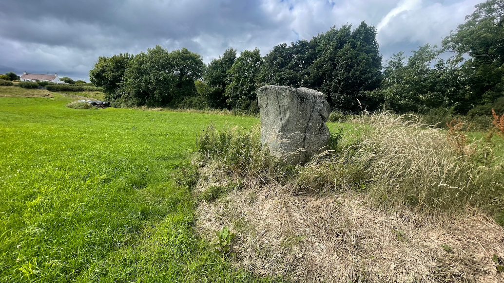 Image of Cabry (Standing Stone / Menhir) by ryaner