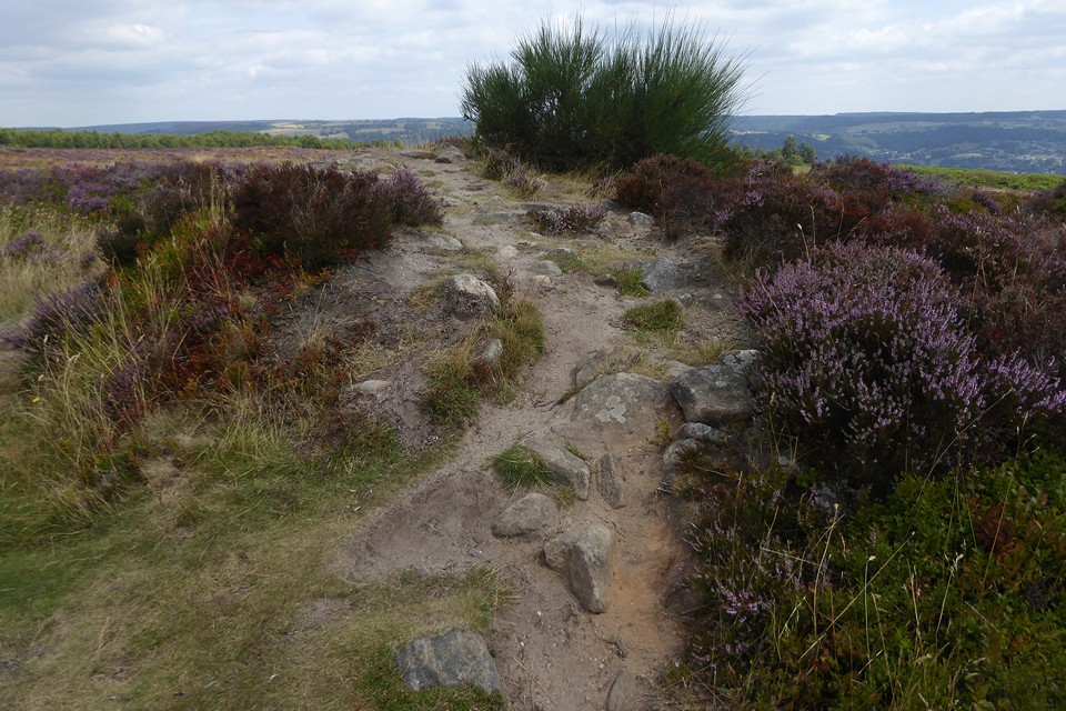 Image of T2 cairn (Round Cairn) by thesweetcheat