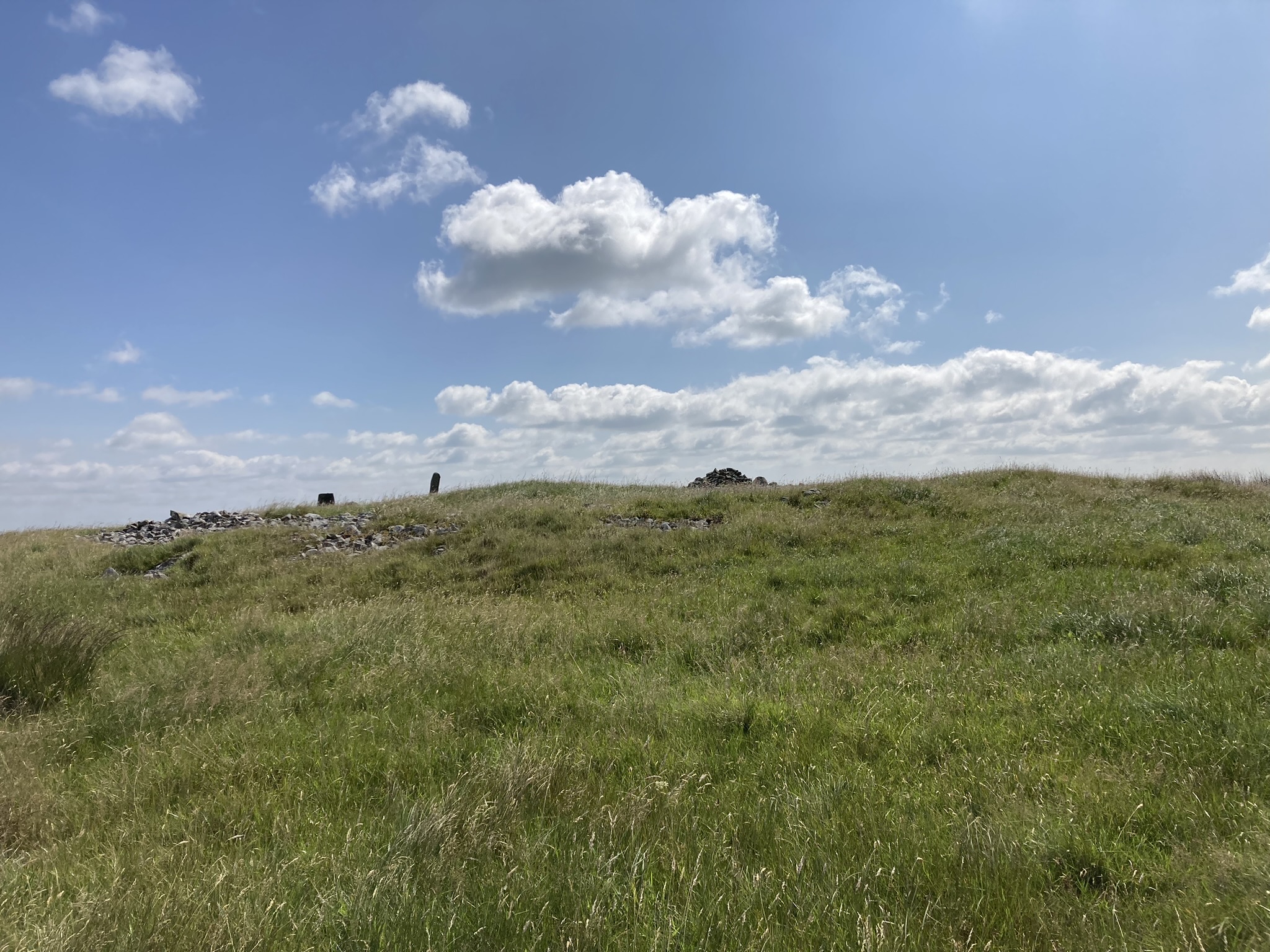Image of Mochrum Fell (Elrig) (Cist) by markj99