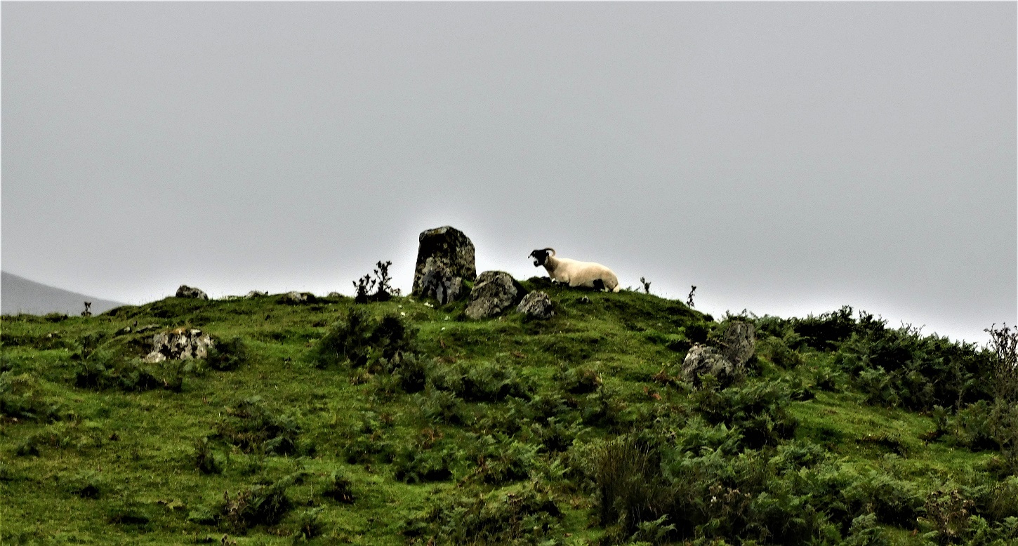 Image of An Sithean (Chambered Cairn) by drewbhoy