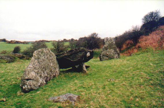 Image of Din Dryfol (Chambered Tomb) by Moth