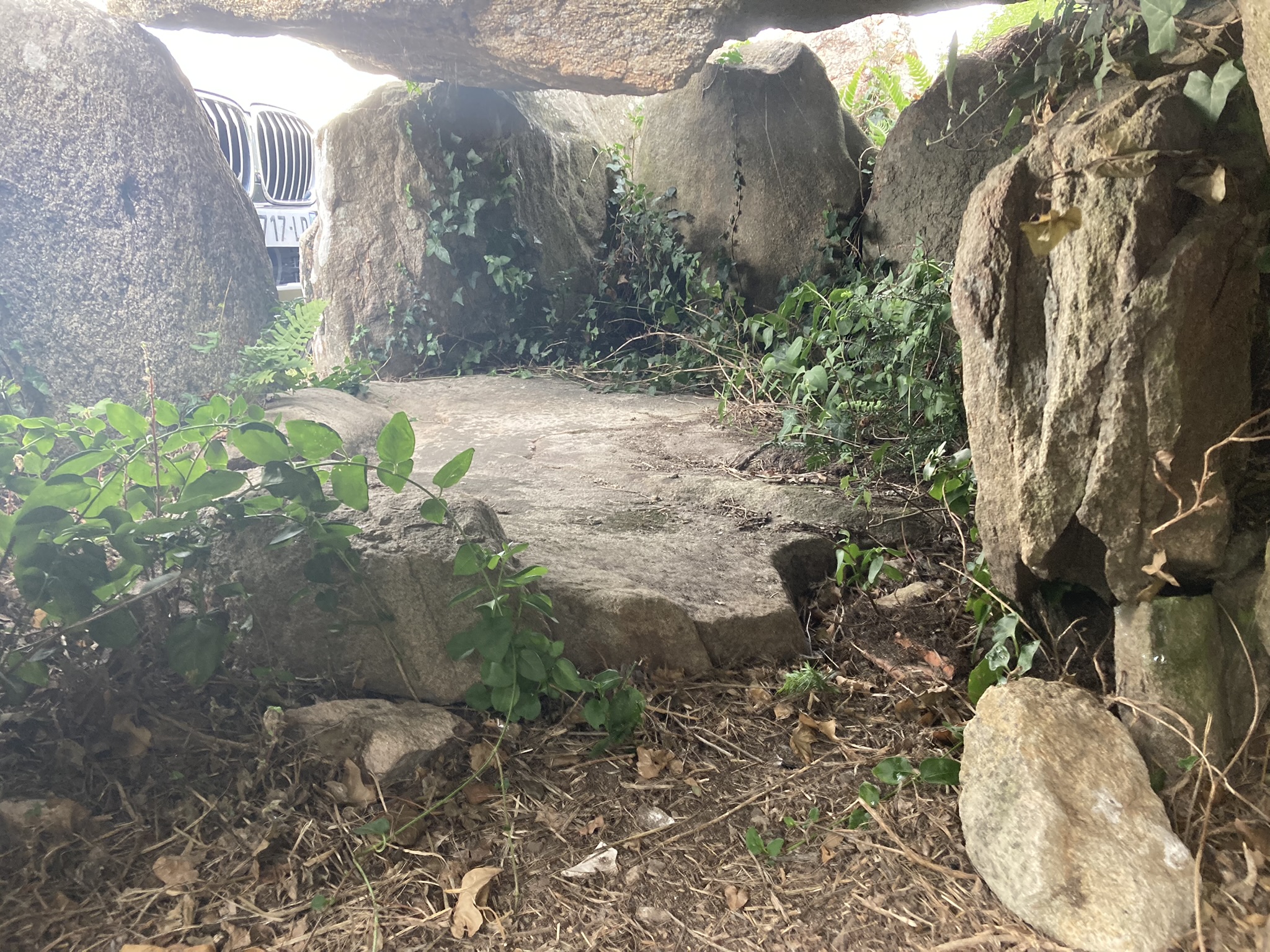 Image of Dolmen de Lannek-er-Men by markj99