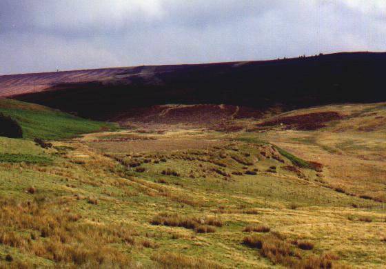 Image of Llyn Brenig 6 by Moth