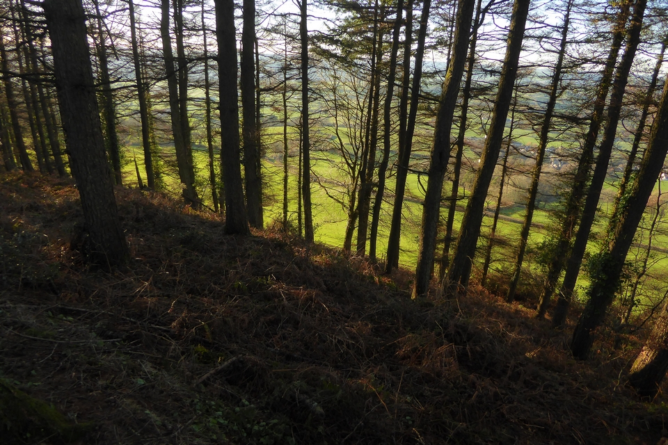 Image of Musbury Castle (Hillfort) by thesweetcheat