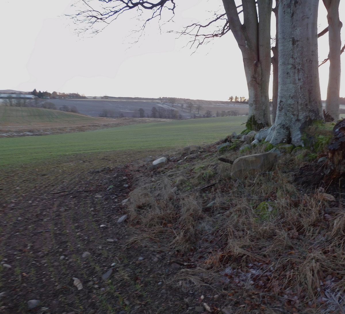 Image of Williamston (Cairn(s)) by drewbhoy