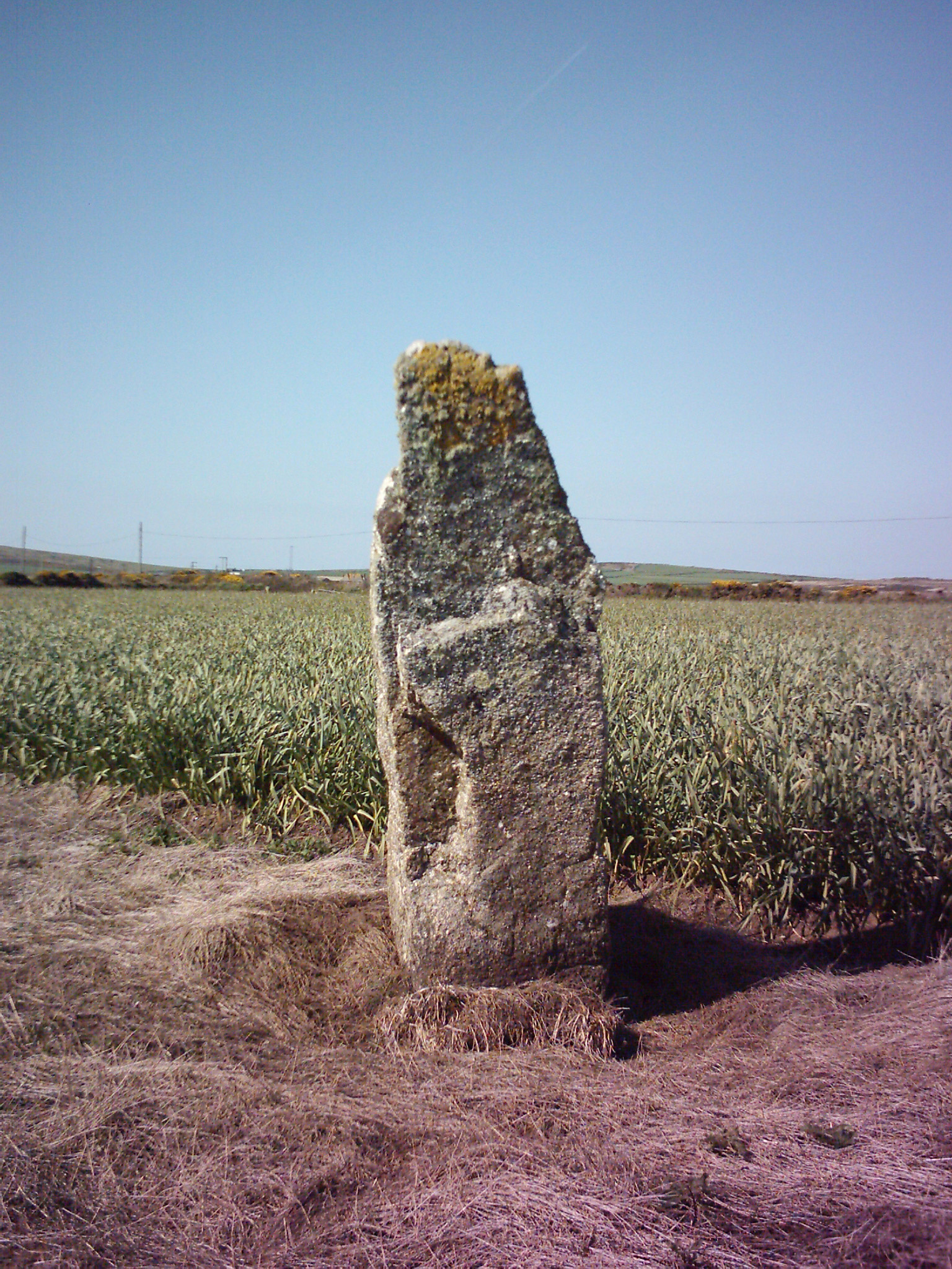 Image of Trevorgans Menhir by Chris Bond