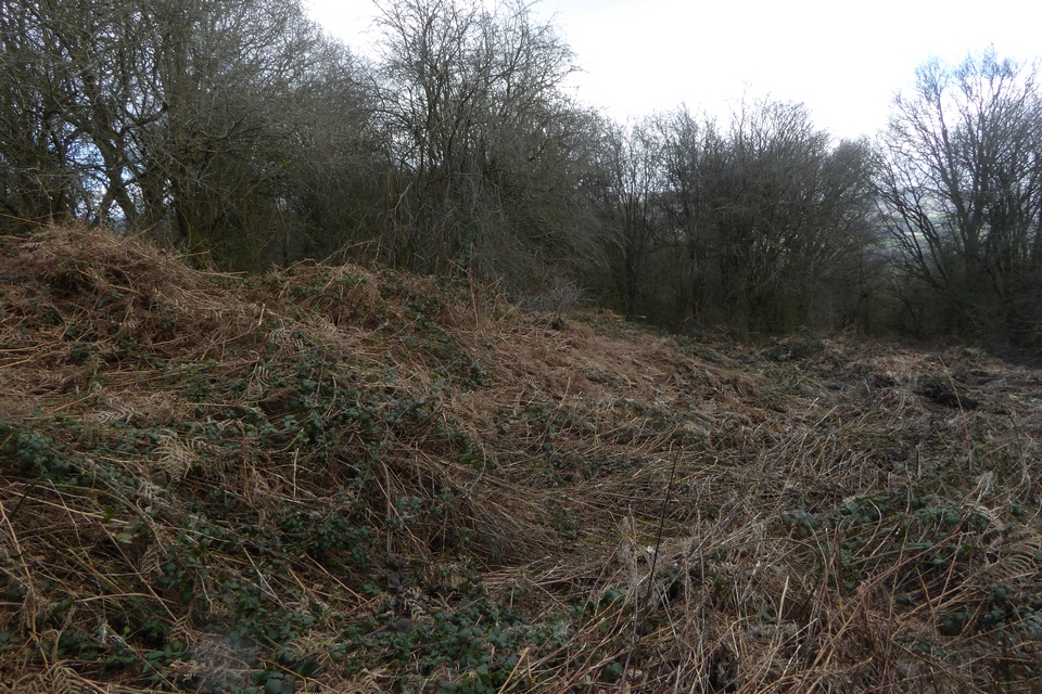 Image of Bryn yr Hydd (Enclosure) by thesweetcheat