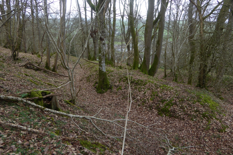 Image of Pen-rhiw-wen (Hillfort) by thesweetcheat