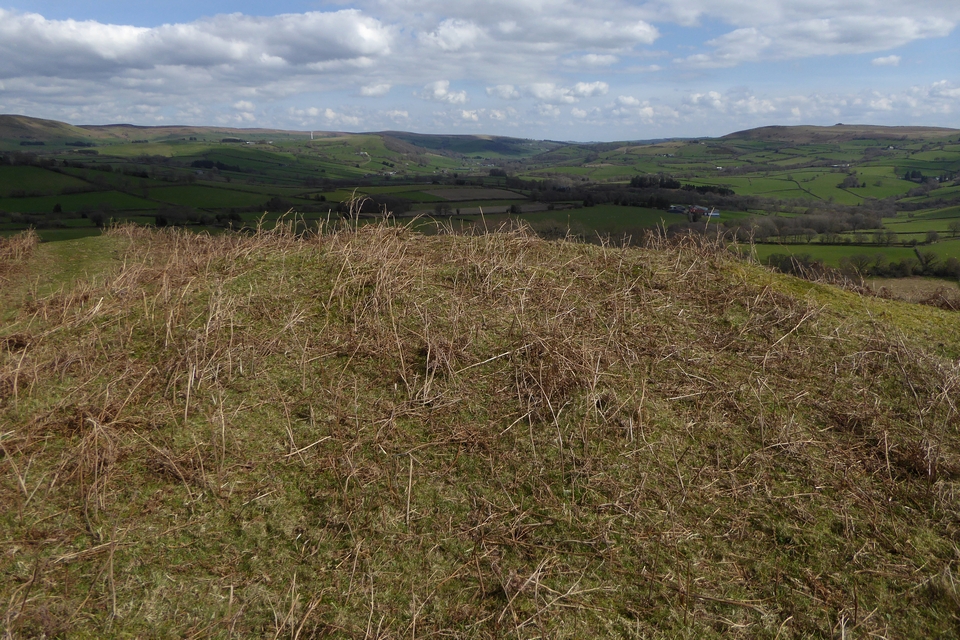Image of Twyn y Garth barrows (Round Barrow(s)) by thesweetcheat