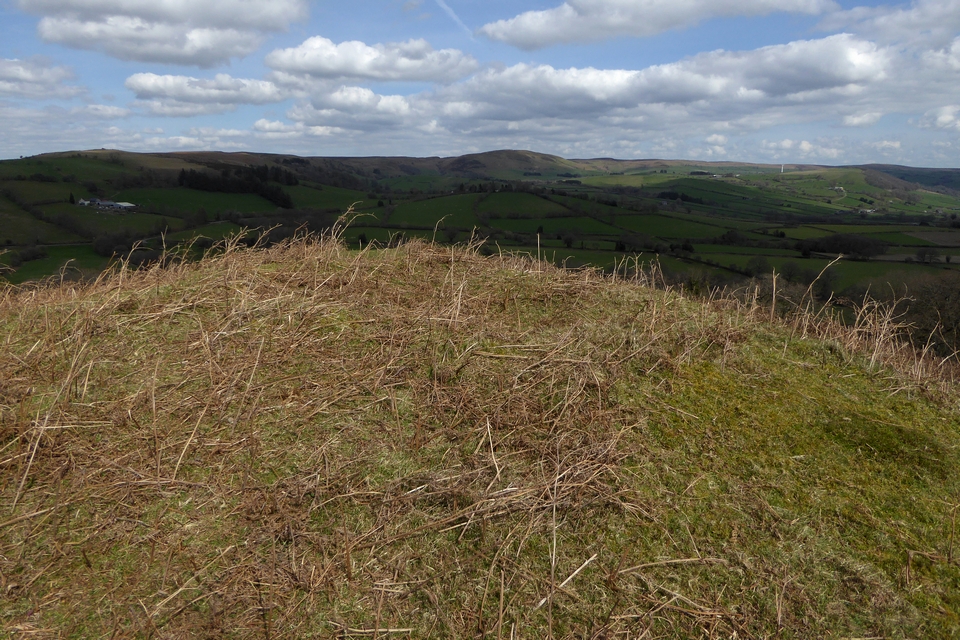 Image of Twyn y Garth barrows (Round Barrow(s)) by thesweetcheat