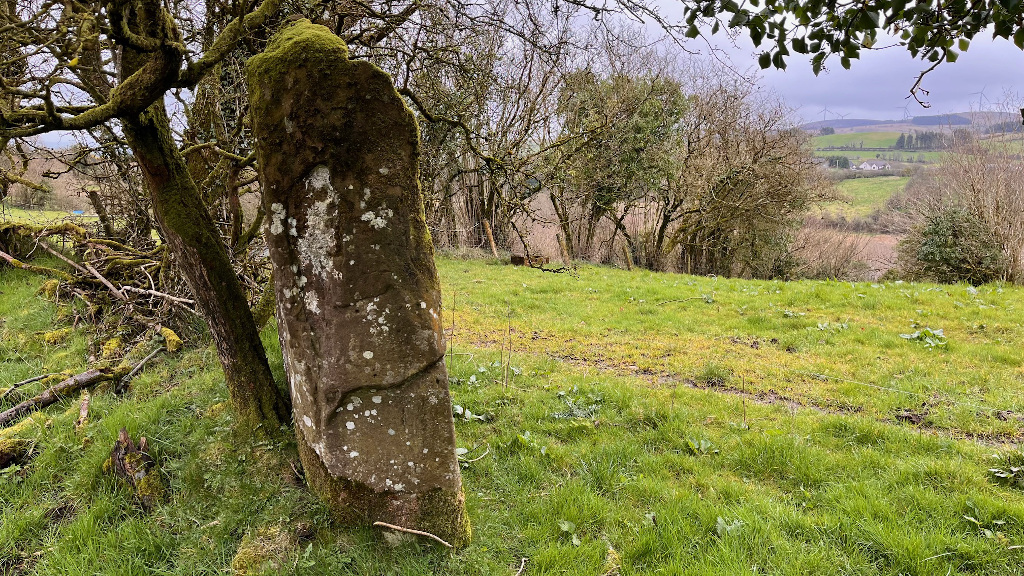 Image of Carryglass (Standing Stone / Menhir) by ryaner