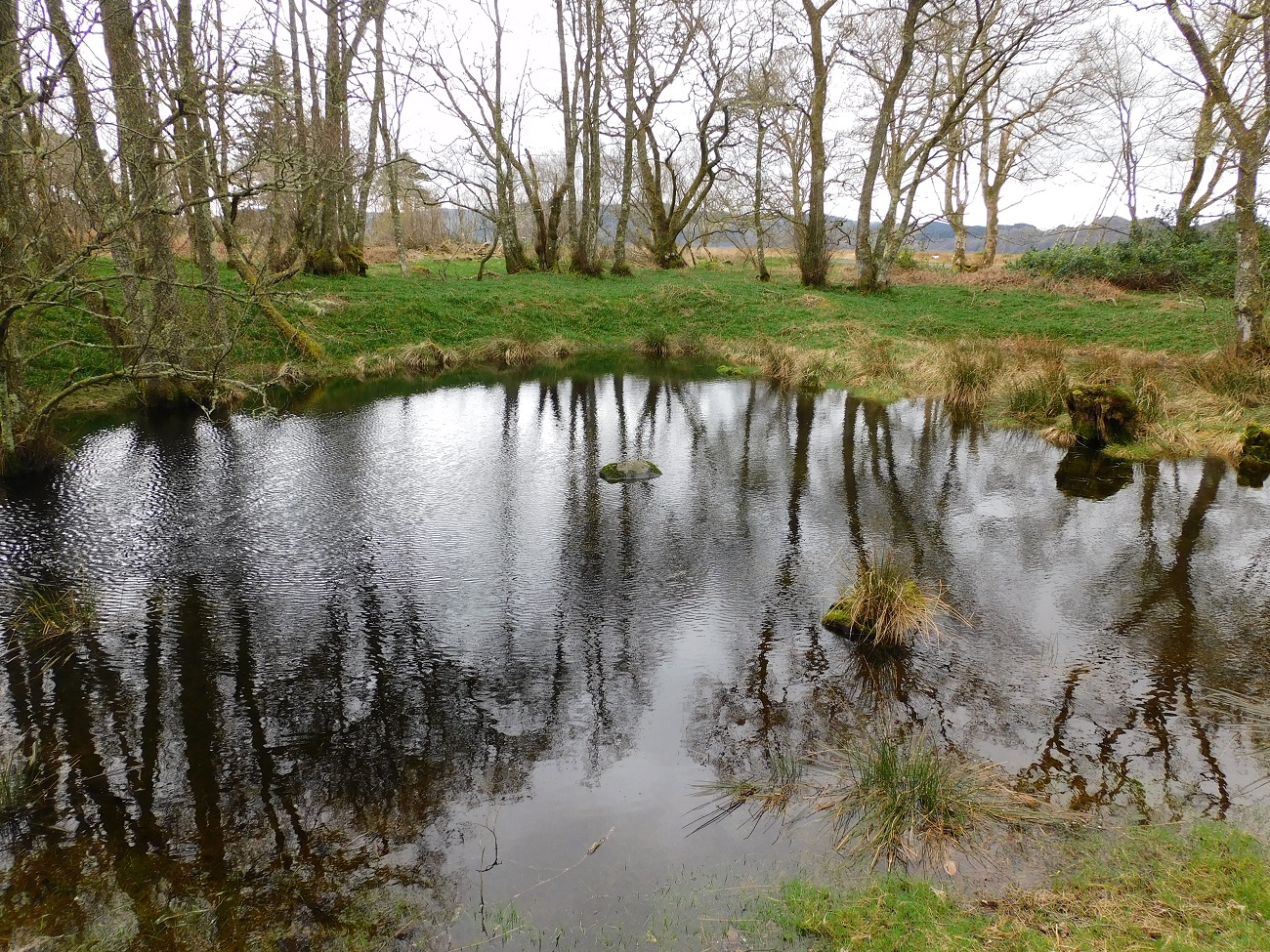 Image of Crinan Moss (Cairn(s)) by drewbhoy