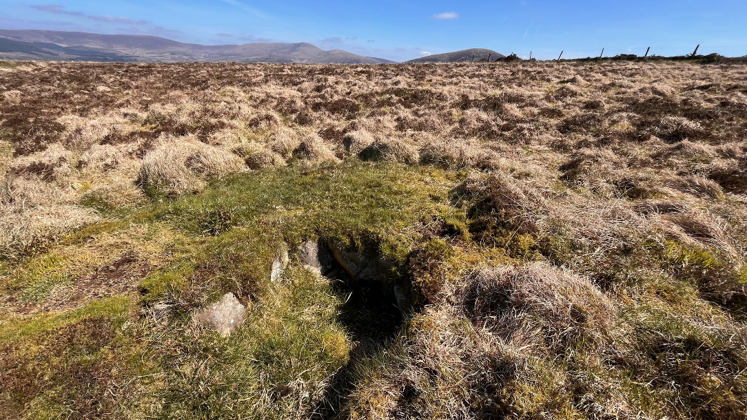 Image of Spinans Hill (Barrow / Cairn Cemetery) by ryaner