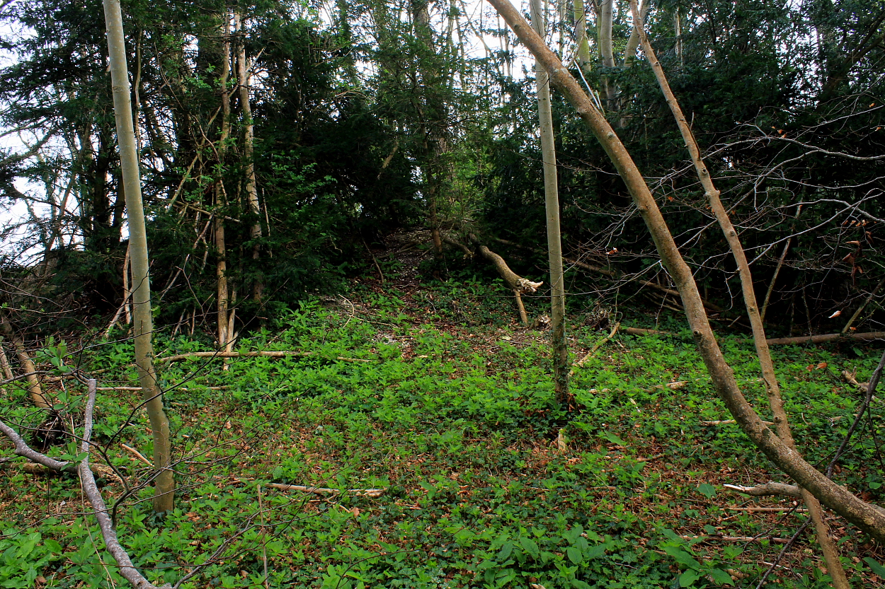 Image of Rubury Butts, Three Barrows Down by GLADMAN