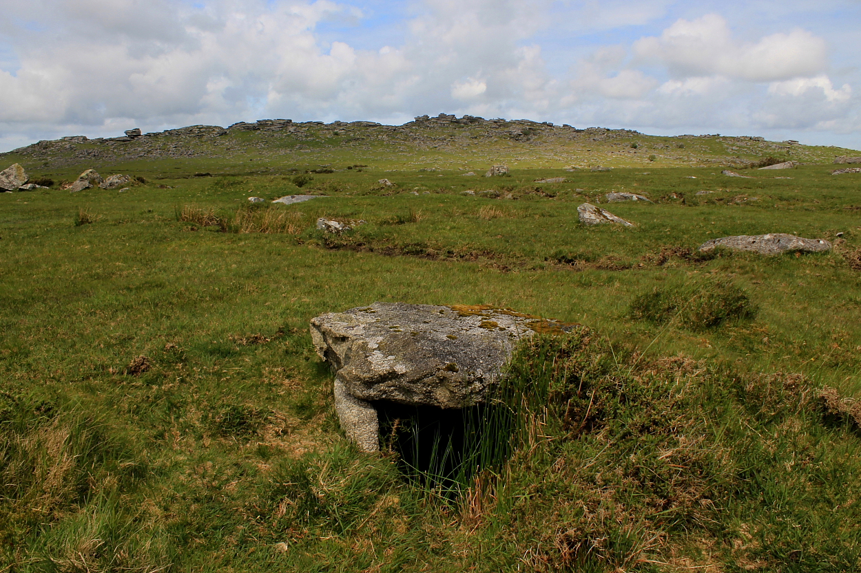 Image of Bearah Tramway cairn (Cist) by GLADMAN