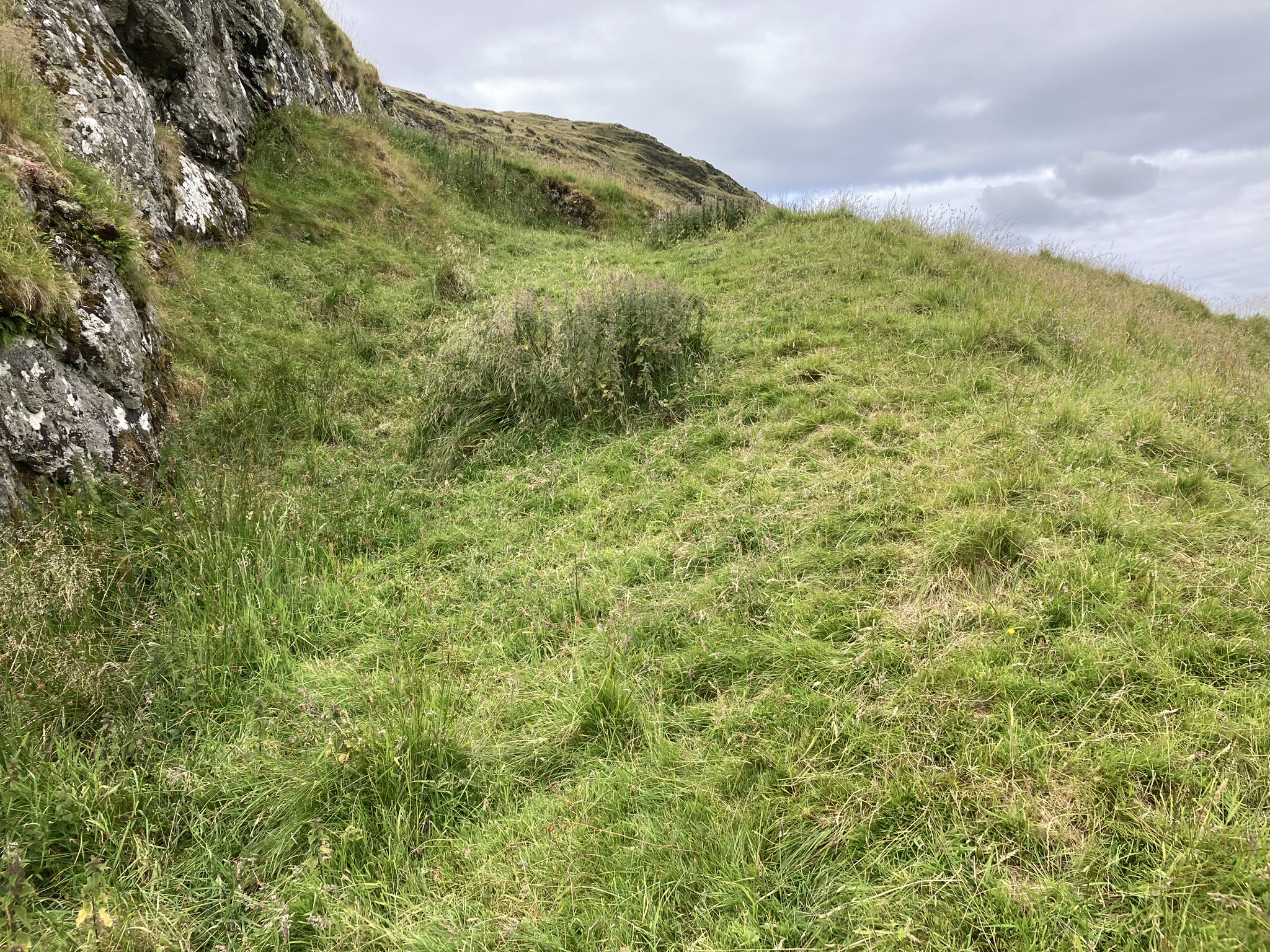 Image of Duniewick (Hillfort) by markj99