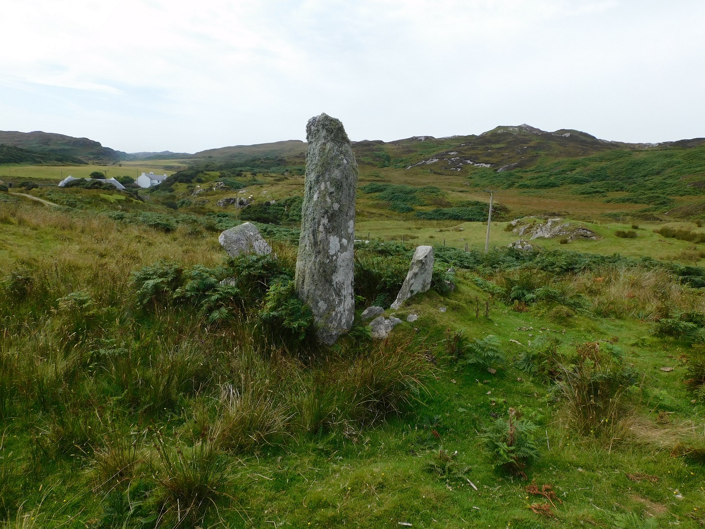 Image of Buaile Riabhach (Standing Stone / Menhir) by drewbhoy