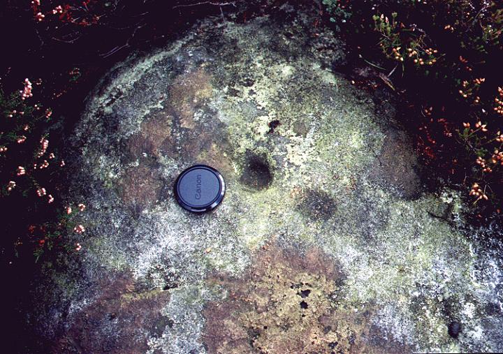 Image of Harland Moor (Stone Circle) by fitzcoraldo