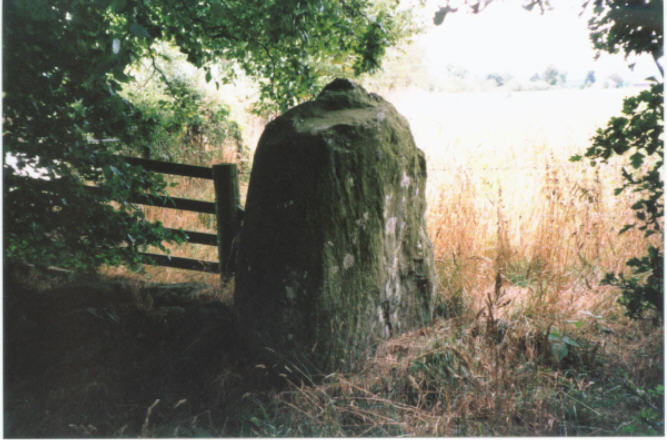 Image of Wolfhill (Standing Stones) by hamish