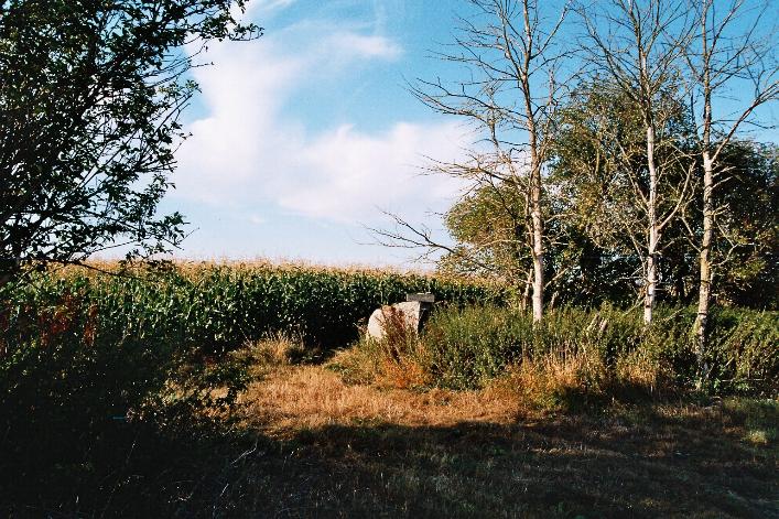 Image of Falkner’s Circle (Stone Circle) by Moth
