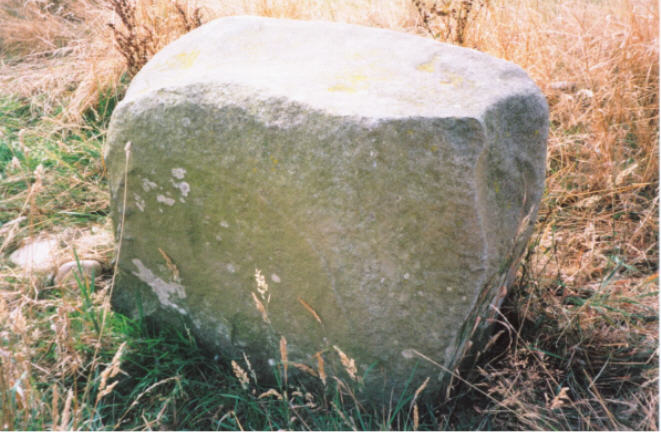Image of Colen Wood Stone Circle by hamish
