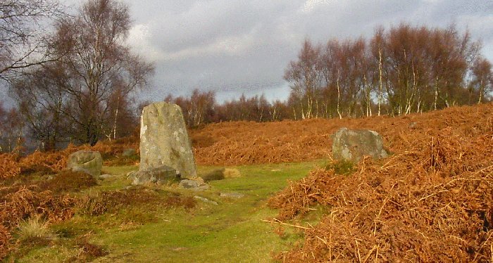 Image of Stoke Flat (Stone Circle) by Jane