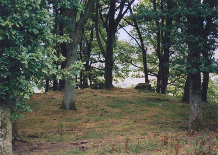 Image of Muirheadstone (Stone Circle) by BigSweetie