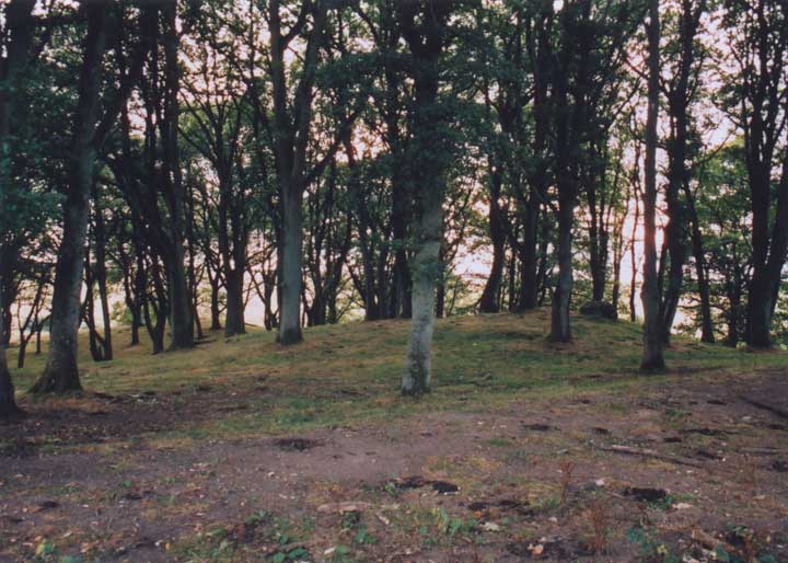 Image of Muirheadstone (Stone Circle) by BigSweetie