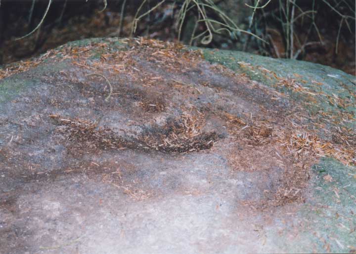Image of Over Bohespic (Cup and Ring Marks / Rock Art) by BigSweetie