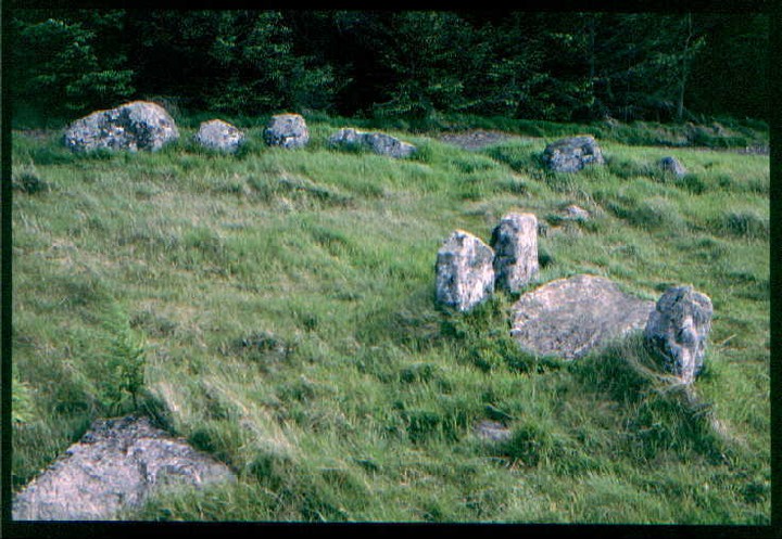 Image of White Cow Wood (Chambered Cairn) by greywether