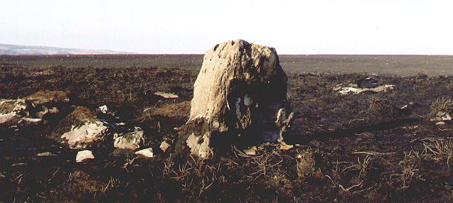 Image of Brow Moor Standing stone by fitzcoraldo