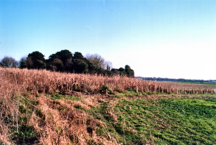 Image of Duck’s Nest (Long Barrow) by jimit