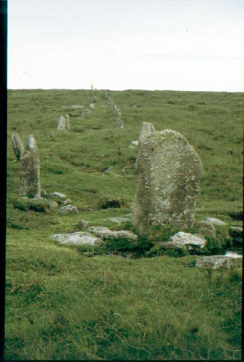 Image of Hurston Ridge (Stone Row / Alignment) by greywether
