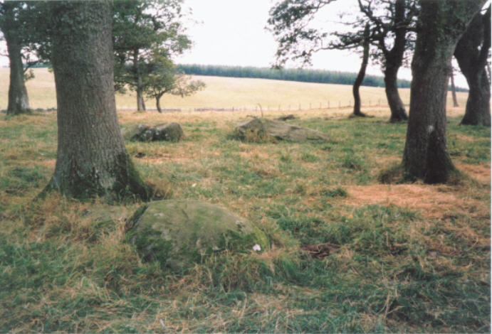 Image of Park Neuk (Stone Circle) by hamish