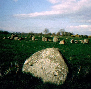 Image of Ballynoe (Stone Circle) by greywether
