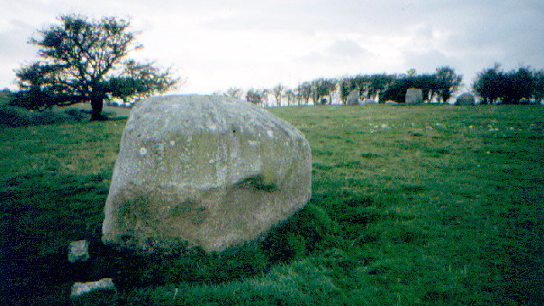 Image of Athgreany (Stone Circle) by greywether