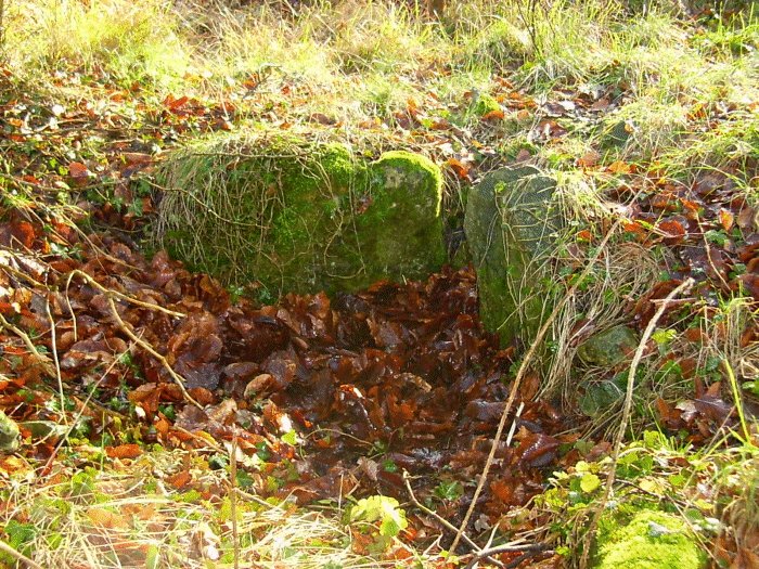 Image of Pole’s Wood South (Long Barrow) by Jane