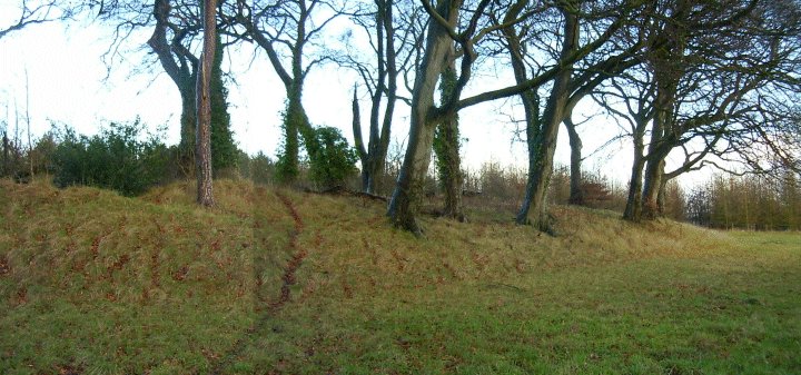 Image of Pole’s Wood South (Long Barrow) by Jane