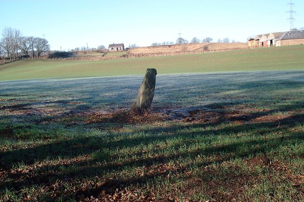 Image of Denmarkfield / King’s Stone (Standing Stone / Menhir) by nickbrand