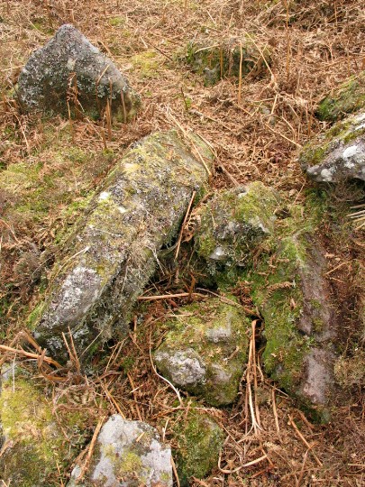 Image of Shiels of Gartlea (Chambered Tomb) by greywether