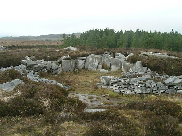 Image of Rathlackan (Court Tomb) by megaman