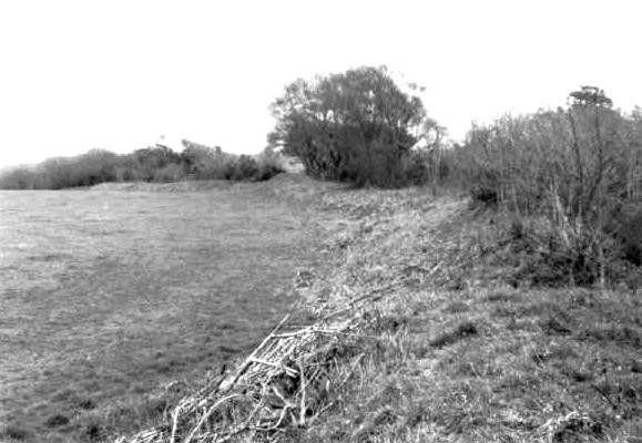 Image of Castle Canyke (Hillfort) by pure joy