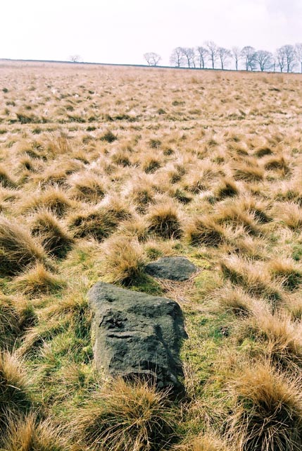 Image of Baildon Moor by Kozmik_Ken