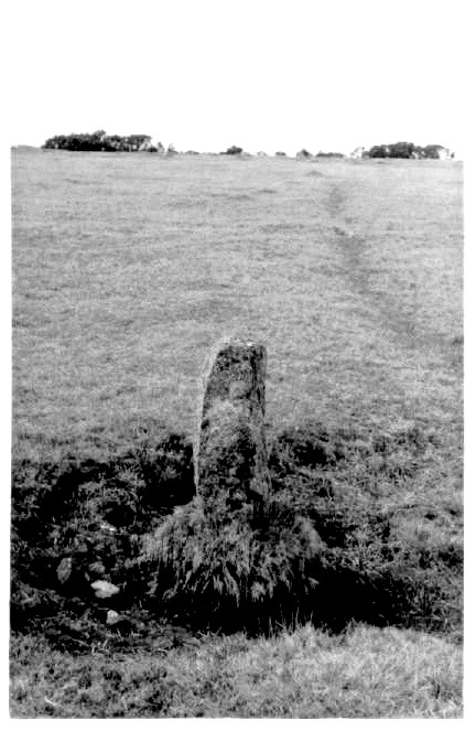 Image of Trehudreth Downs Menhir (markstone?) by pure joy
